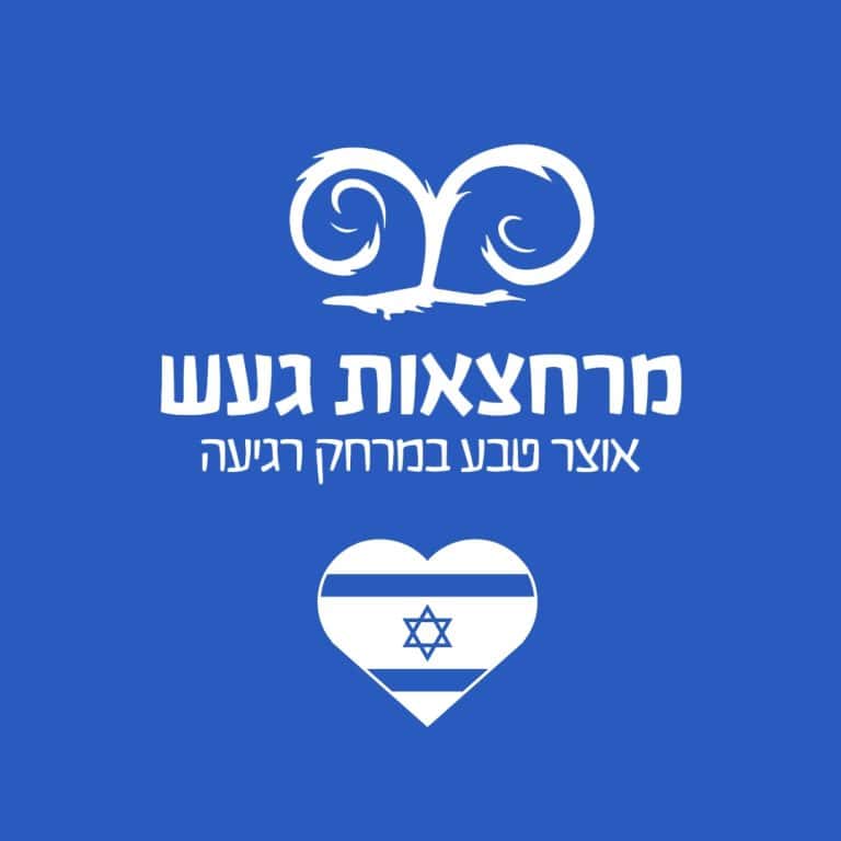 מי שבע (Mey7) שירות לקוחות, טלפון, יצירת קשר, וואטסאפ, אזור אישי 2026 ...